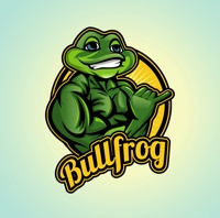 Bullfrog Digital Marketing Agency & SEO Company logo