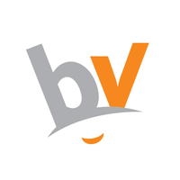 Broks Vision logo