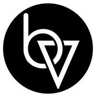 Brand Vision logo