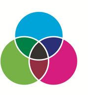 Evolve IT Consulting