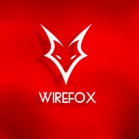 Wirefox Digital Agency Birmingham