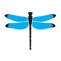 Dragonfly Digital Marketing logo