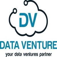 Data Venture Solutions Ltd. logo