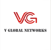 V GLOBAL NETWORKS logo
