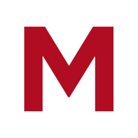 Merlino Software Agency logo