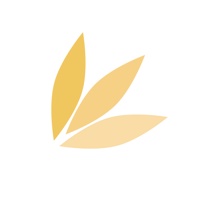 Spring Studio logo