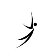 BITFLY SOLUTIONS LLC