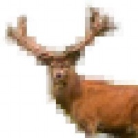 Pixel Stag logo