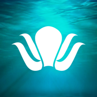 Ahtapot Sosyal Medya