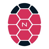 Numel Solutions Private Limited logo