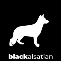 Black Alsatian