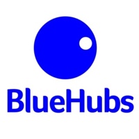 BlueHubs Digital Marketing Agency logo