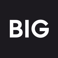 Big Partnership logo