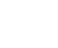 New Logic logo