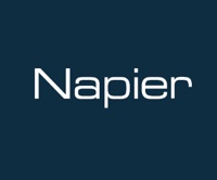 Napier Partnership Limited logo