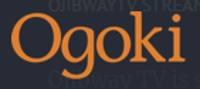 Ogoki Learning Inc. logo