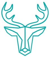 Wired Media logo