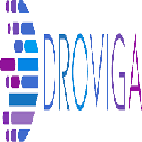 Droviga Inc