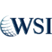 We Simplify the Internet (WSI)