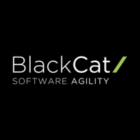 BlackCat Technology Solutions Ltd logo