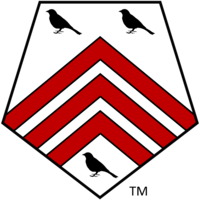 SingTone Technologies