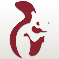 Squirrel Digital Marketing logo