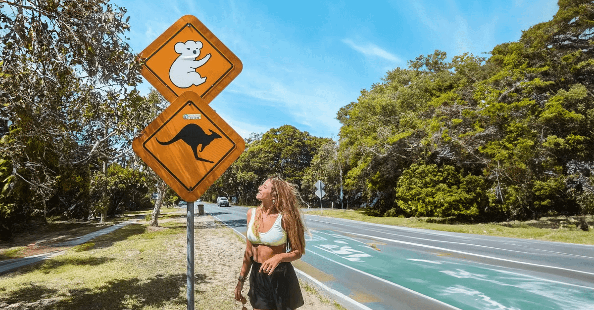 Mujer observando dos señales de tránsito amarillas con siluetas de koala y canguro en carretera australiana