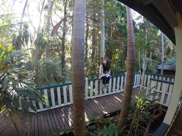 Springbrook National Park Australia
