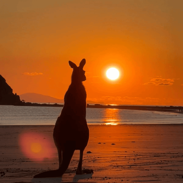 Webinar | Étudier l&rsquo;anglais en Australie