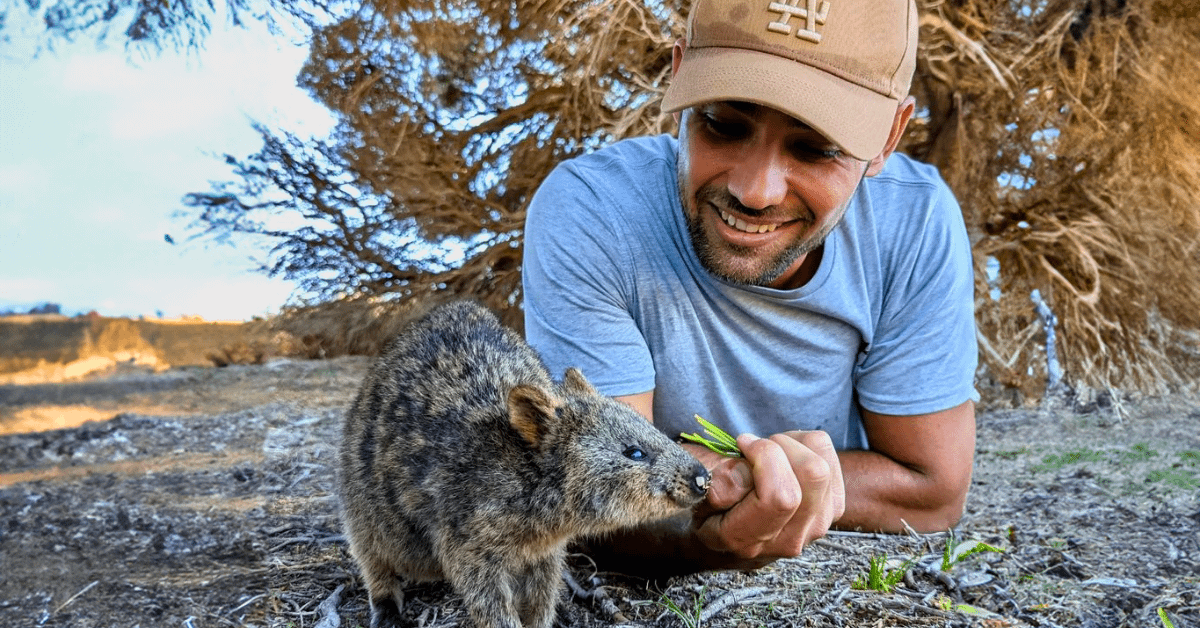 Estudiante alminetando a un Quokka
