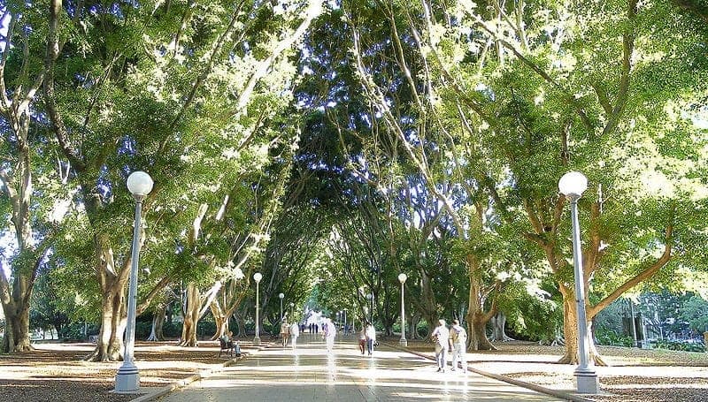 Gratis en Sydney - Actividades