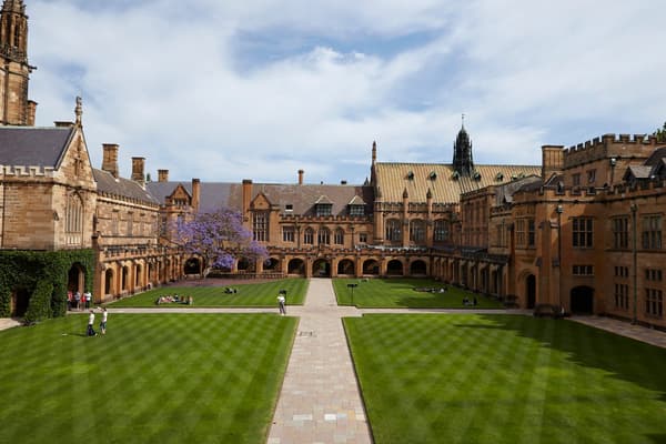 Estudia en la Universidad de Sydney