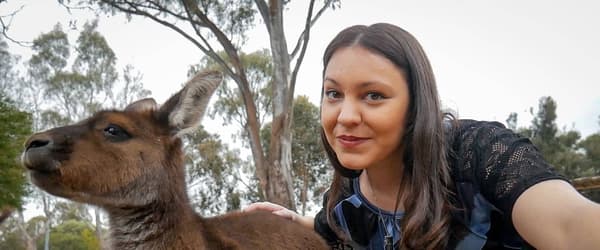 ILENIA – General Manager of Go Study Australia