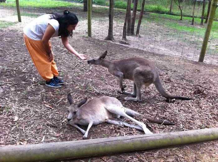 Road Trip en Australia
