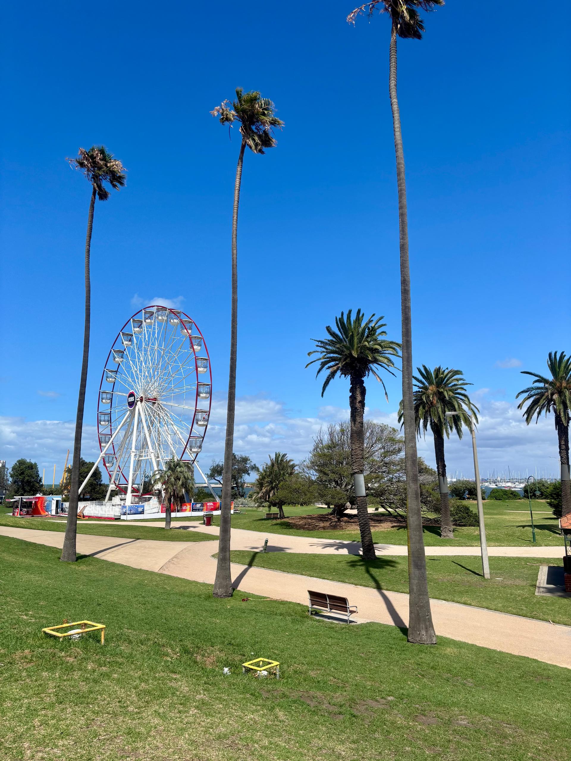 Parque con césped verde y palmeras altas, con un camino peatonal que conduce a una gran noria/ rueda blanca y roja. 