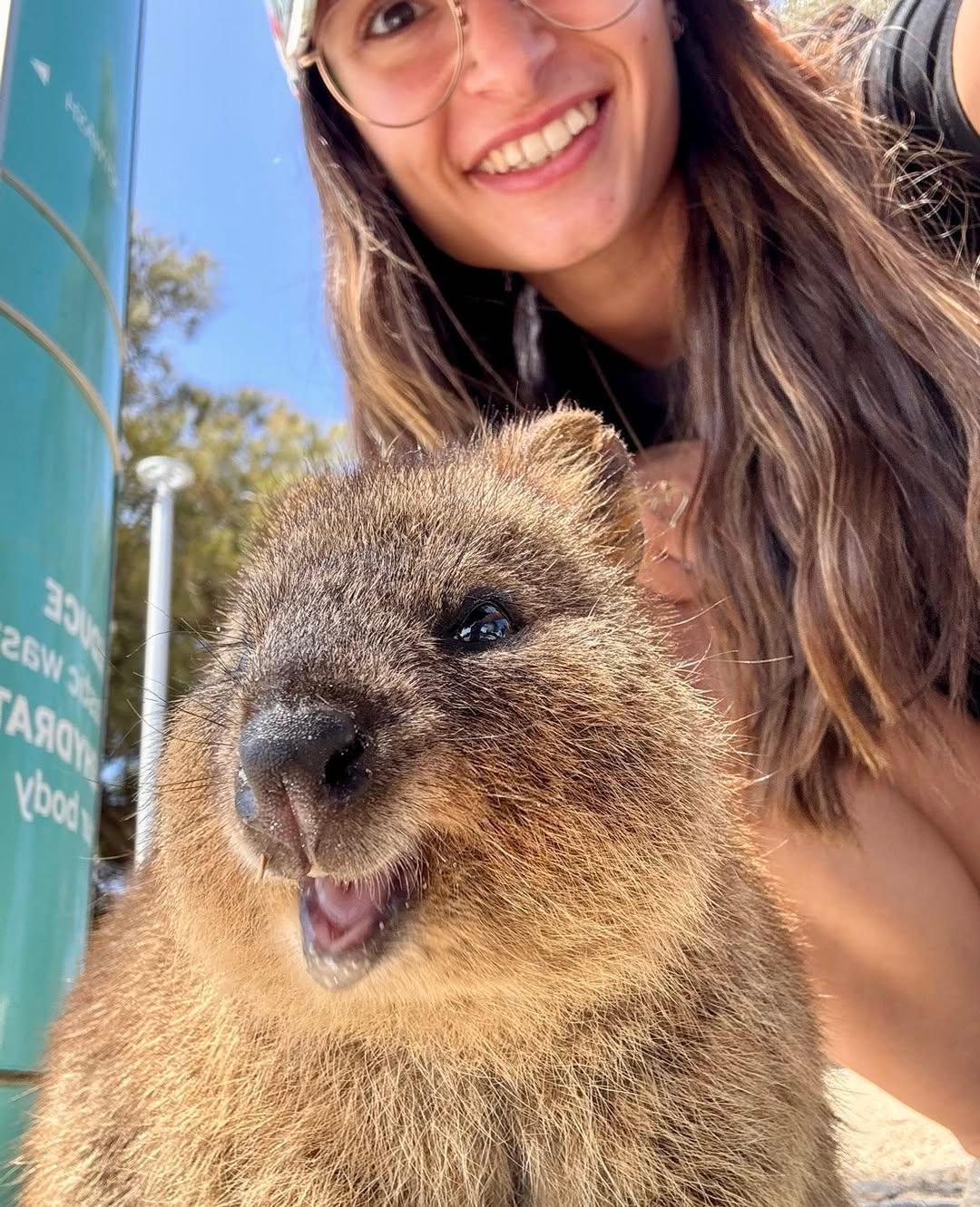 Erasmus in Australia requisiti di accesso