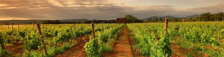 Trabajar en Granja Australia