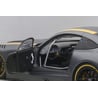 Autoart 1/18 Mercedes AMG GT3 Presentation Car
