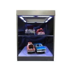 Triple9 1/18 Acrylic...