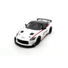 Otto Mobile 1/18 Nissan Z GT4 2022