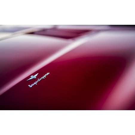 Tecnomodel 1/18 Touring Superleggera Aero 3 based on Ferrari F12 No.19 2020