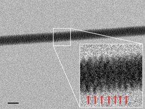 প্রাণ ও বিবর্তন । আদনান শাহরিয়ার 34 dn22545-1_300.jpg