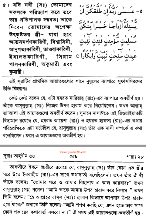 একটি তরবারির আয়াতের (The sword verse) পর্যালোচনা, প্রেক্ষাপট ও অন্যান্য 103 তরবারির 102
