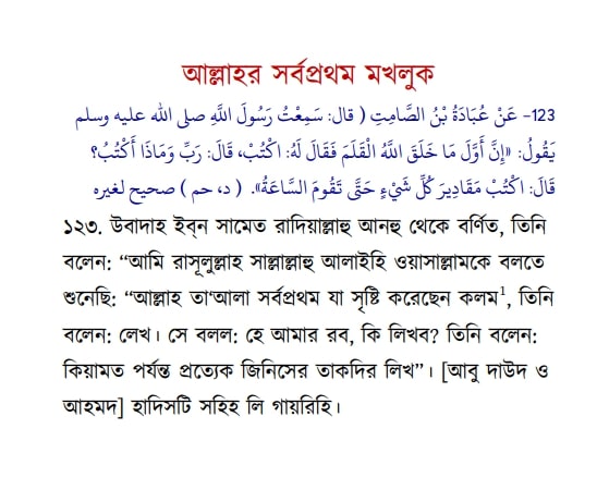 ইসলামের অন্যতম ভিত্তি তাকদীর প্রসঙ্গে 25 তাকদীর 24