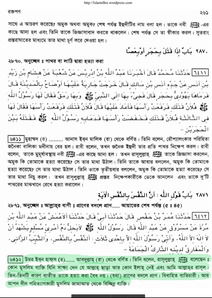 প্যারাডক্সিক্যাল সাজিদ ২ - অমুসলিমদের অধিকার? 17 প্যারাডক্সিক্যাল সাজিদ 16