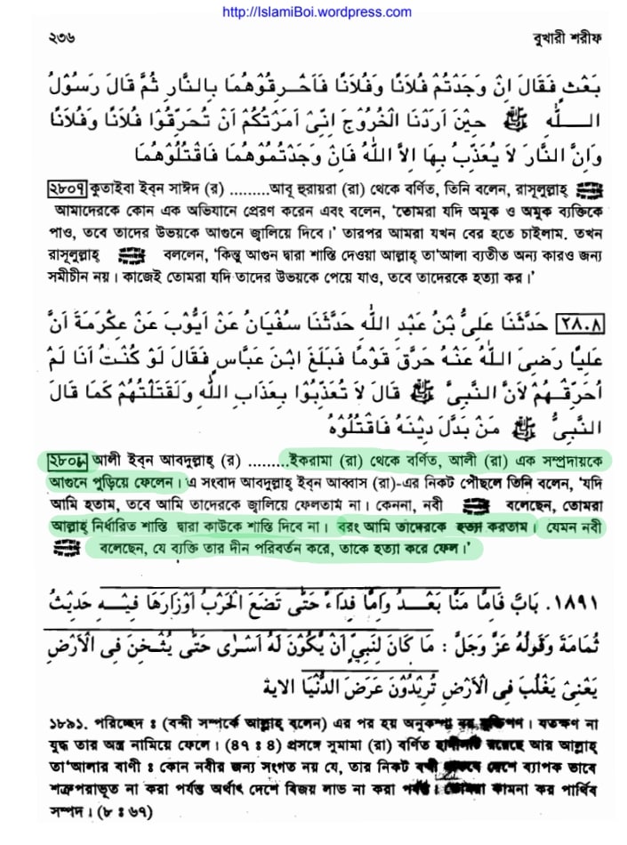 প্যারাডক্সিক্যাল সাজিদ ২ - অমুসলিমদের অধিকার? 15 প্যারাডক্সিক্যাল সাজিদ 14