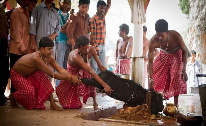 রক্ত স্নাত