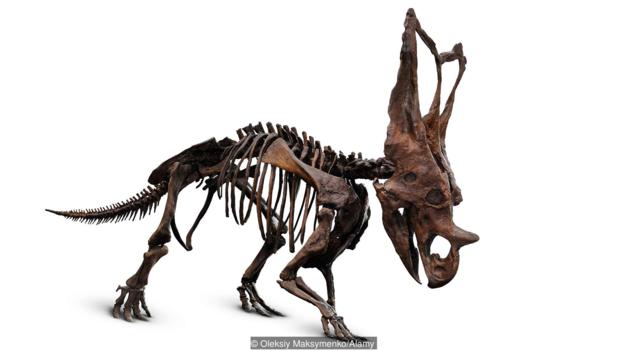 Dinosaurs actually lived quite recently (Credit: Oleksiy Maksymenko/Alamy)