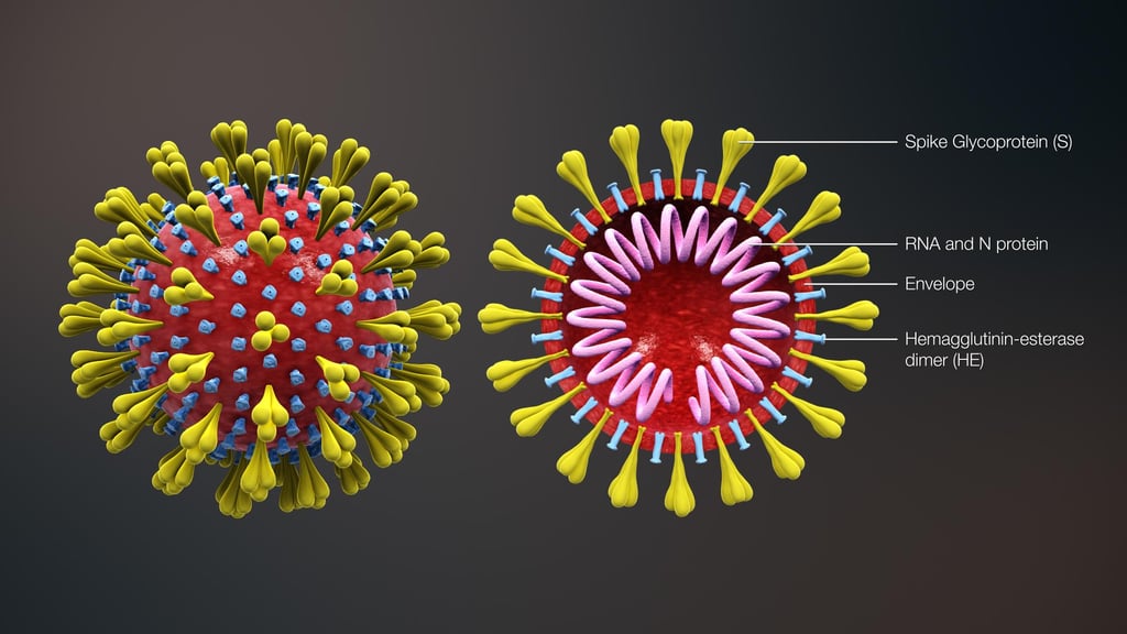 Corona Virus