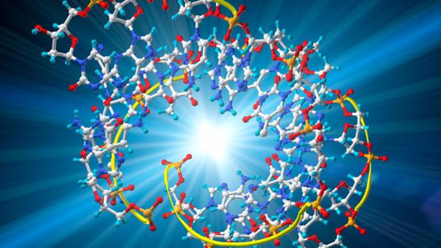 A molecule of threose nucleic acid (TNA)